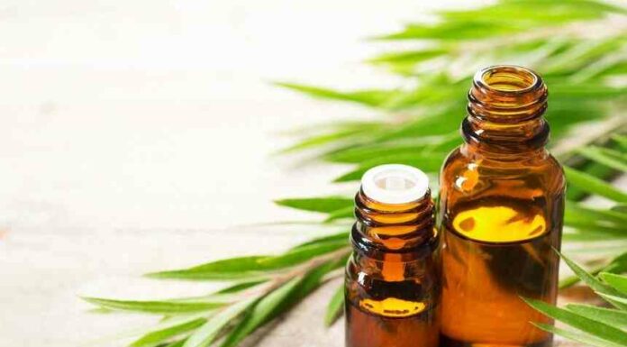 Зоряне божевілля: чому знаменитості так люблять скваланове масло