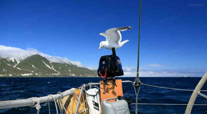 Курильські острови. Полюс недоступності. Частина 2