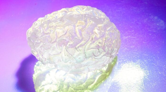 Оскільки ожиріння може збільшити ризик захворювання Альцгеймера, згідно з новим дослідженням