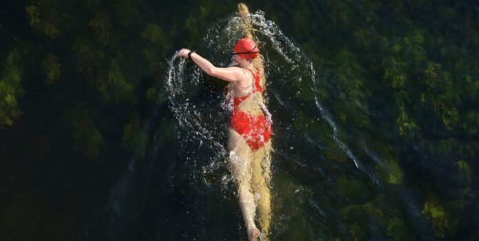 bebbdfde-f67d-42aa-a341-afc06eba2062