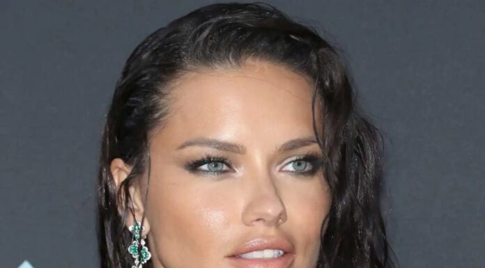 How to Achieve Adriana Lima’s Natural Makeup Look on a Budget