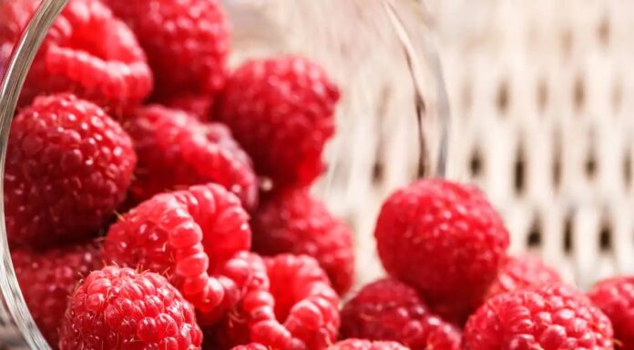 How to Use a Natural Raspberry Mask for Younger-Looking Skin