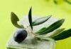 How to Spot Real Organic Skin Cleansers: USDA Seals, Petrolatum Traps, and What ‘Natural’ Actually Means