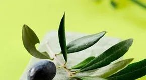 Comment repérer les vrais nettoyants biologiques pour la peau : sceaux USDA, pièges à vaseline et ce que signifie réellement « naturel »